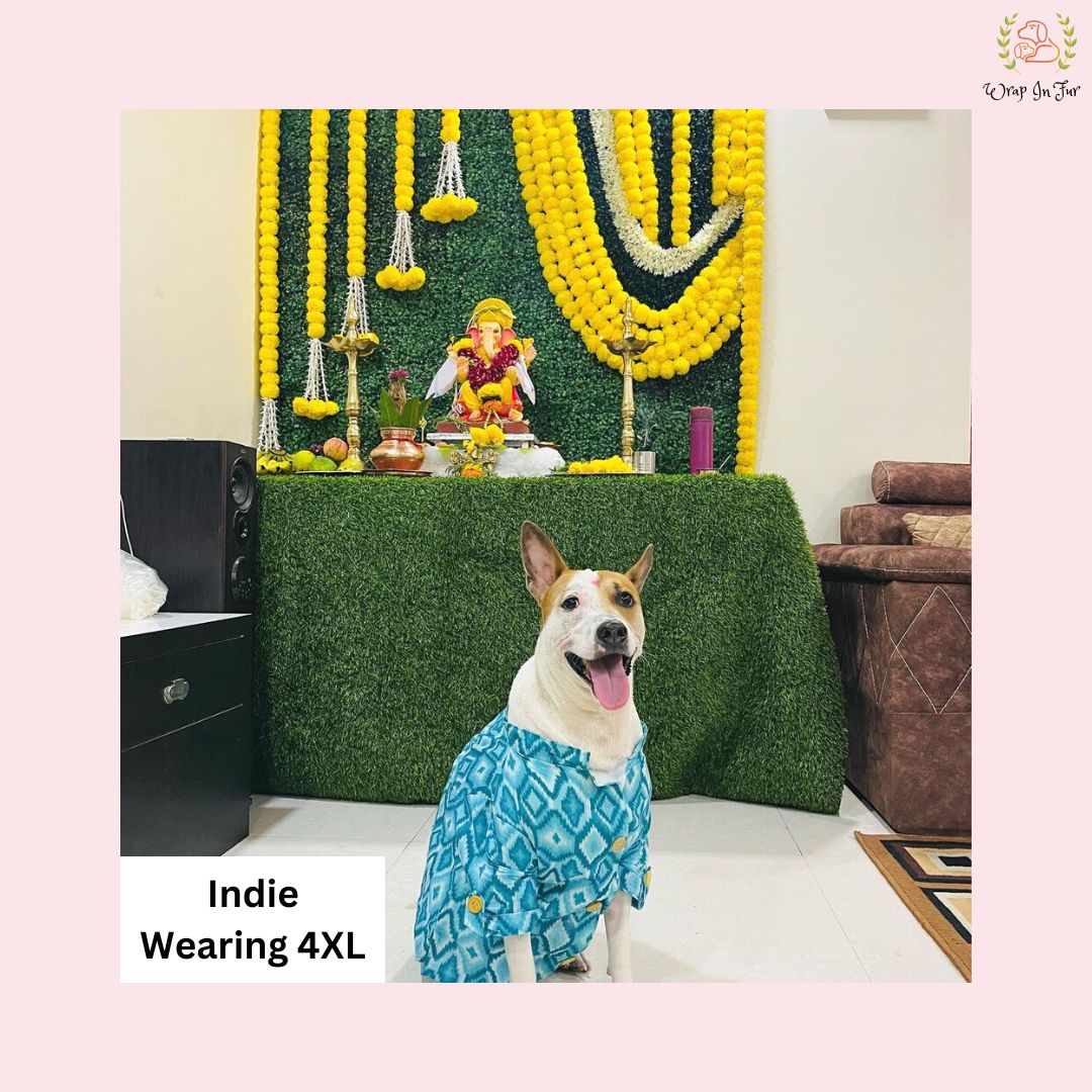 Blue Paradise Dog Kurta - Premium Indian Dog Ethnic Wear