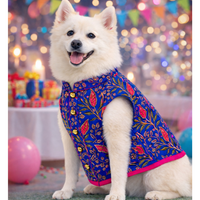Blue Pink Dog Sherwani