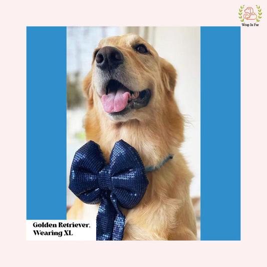 Blue Sequin Sailor Dog Bow - Sparkly Christmas Dog Accessory for Pets