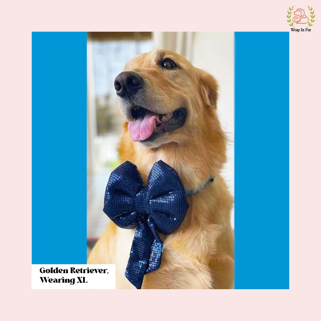 Blue Sequin Sailor Dog Bow - Sparkly Christmas Dog Accessory for Pets