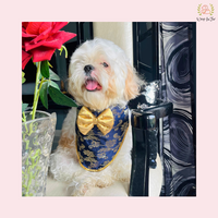Blue Festive Dog Bandana