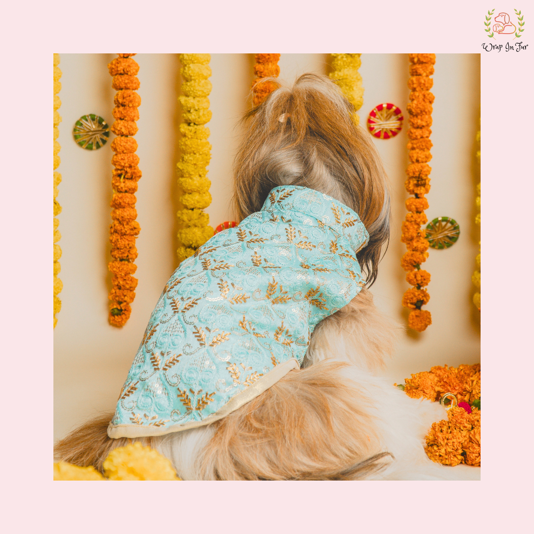 indian ethnic outfit for dogs