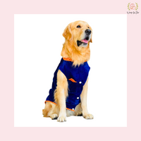 Blue Velvet Maharaja Jacket Dog Sherwani