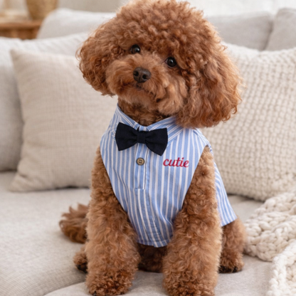 Dapper cutie Dog shirt