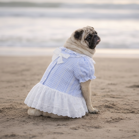 Bluebell Lace Summer Dog Dress
