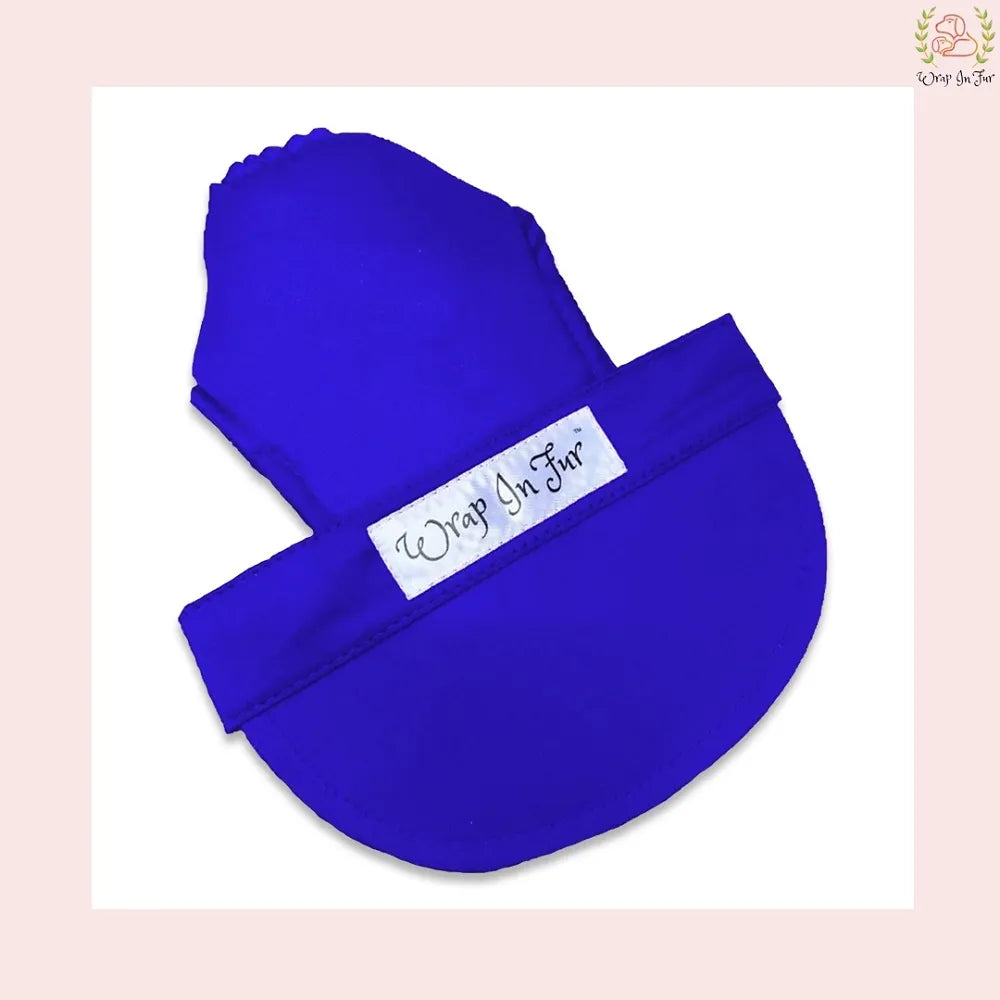 Blue dog cap