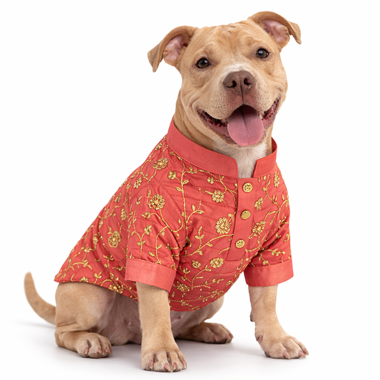 Brick Red Embroidered Dog Kurta