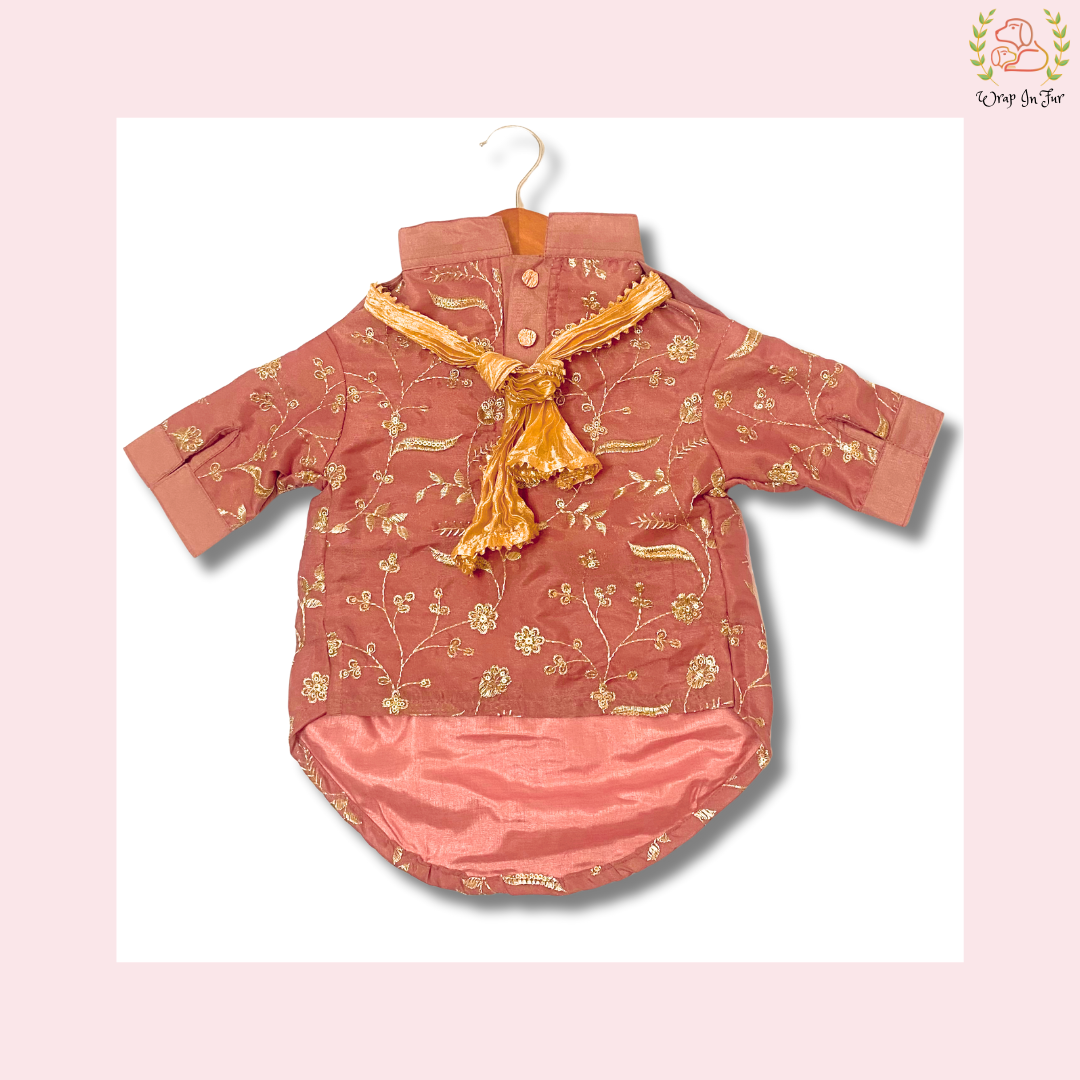 Brick Red Embroidered Dog Kurta - Royal Indian Dog Ethnic Wear Dress