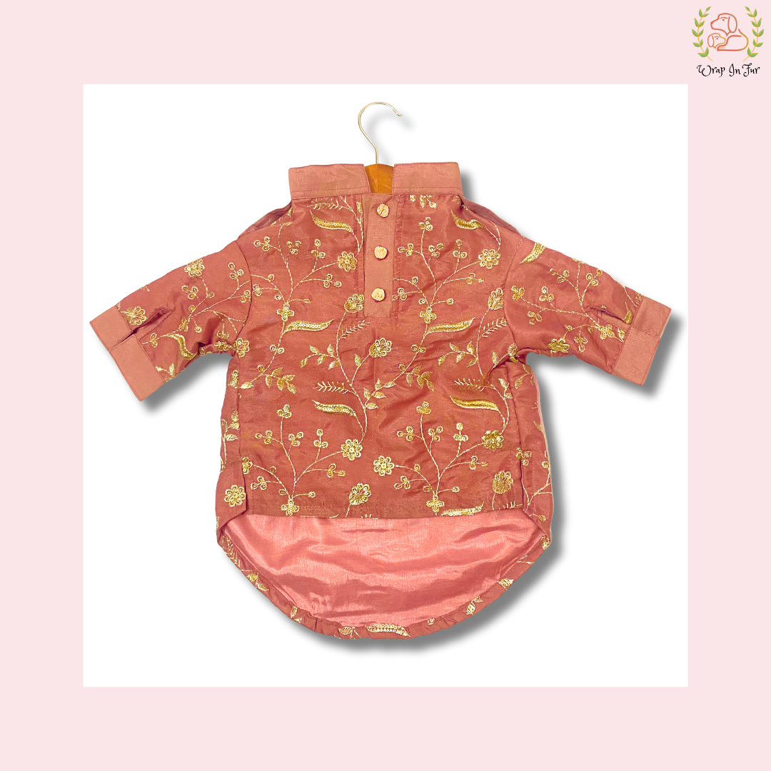 Brick Red Embroidered Dog Kurta - Royal Indian Dog Ethnic Wear Dress