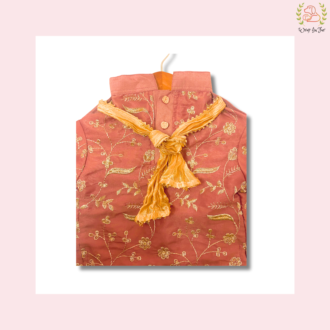 Brick Red Embroidered Dog Kurta - Royal Indian Dog Ethnic Wear Dress