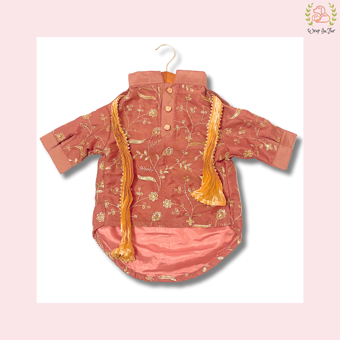 Brick Red Embroidered Dog Kurta - Royal Indian Dog Ethnic Wear Dress