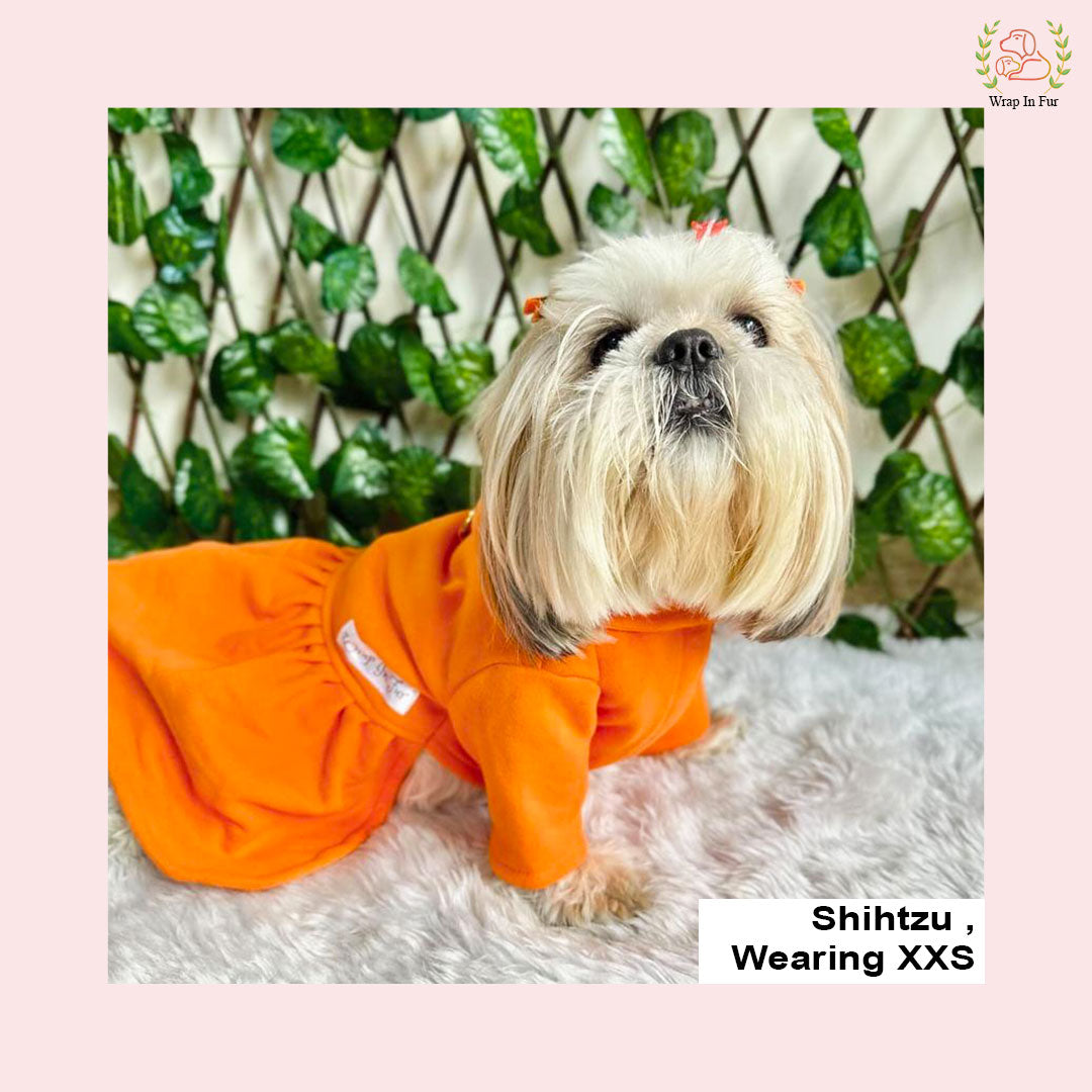 Bright Orange Winter Dog Frock – Cozy, Soft & Stylish – Wrapinfur