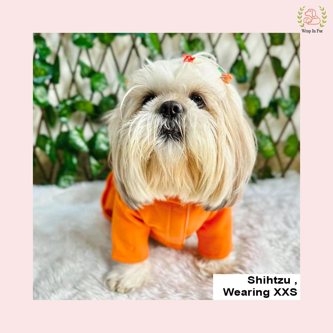 Bright Orange Winter Dog Frock – Cozy, Soft & Stylish