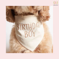 Brown Birthday Boy Dog Bandana | Party Bandana for Dogs
