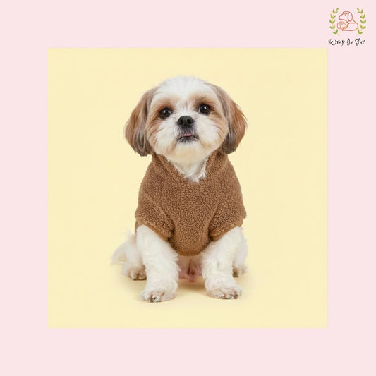 Brown Furry Teddy Dog Hoodie – Super Warm & Cute Winter Wear