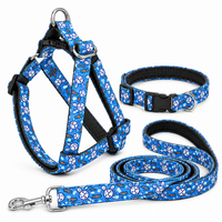 Bunny Carrot Dog Harness With Collar Leash Set