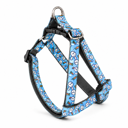 Bunny Carrot Dog Harness With Collar Leash Set