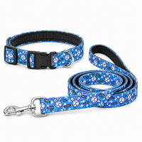 Bunny Carrot Dog Leash With Collar