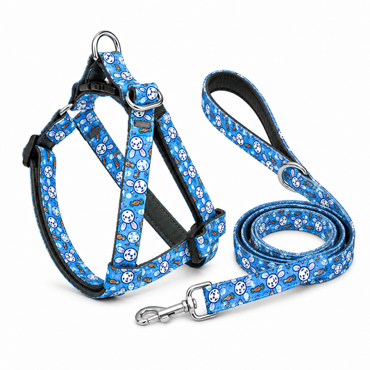 Bunny Carrot Dog Harness with Leash