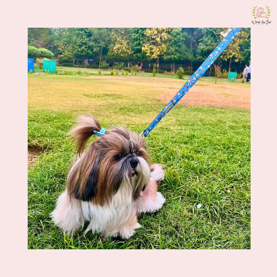 Bunny Carrot Harness with Leash