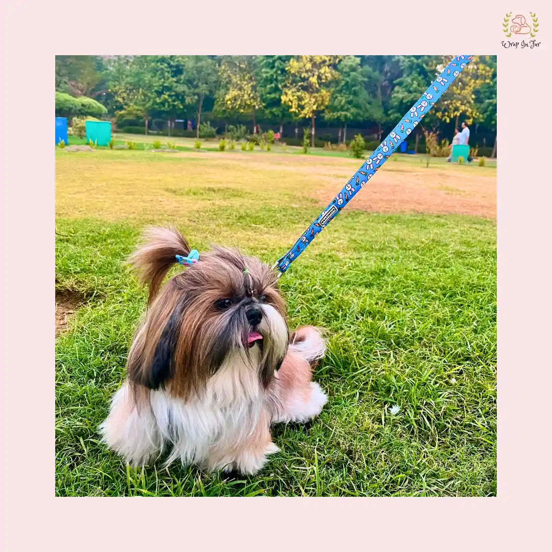 Bunny Carrot Harness with Leash