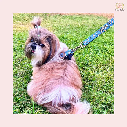 Bunny Carrot Harness with Leash