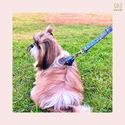 Bunny Carrot Harness with Leash