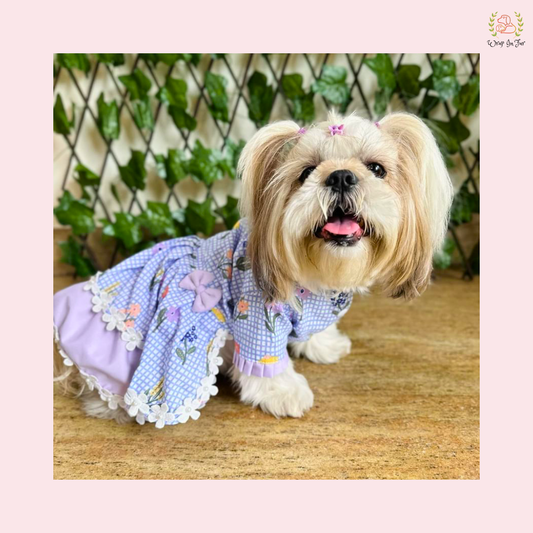 Dog Dress cute summer frock