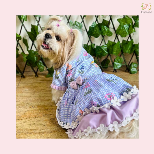 Birtthday dog dress for shihtzu