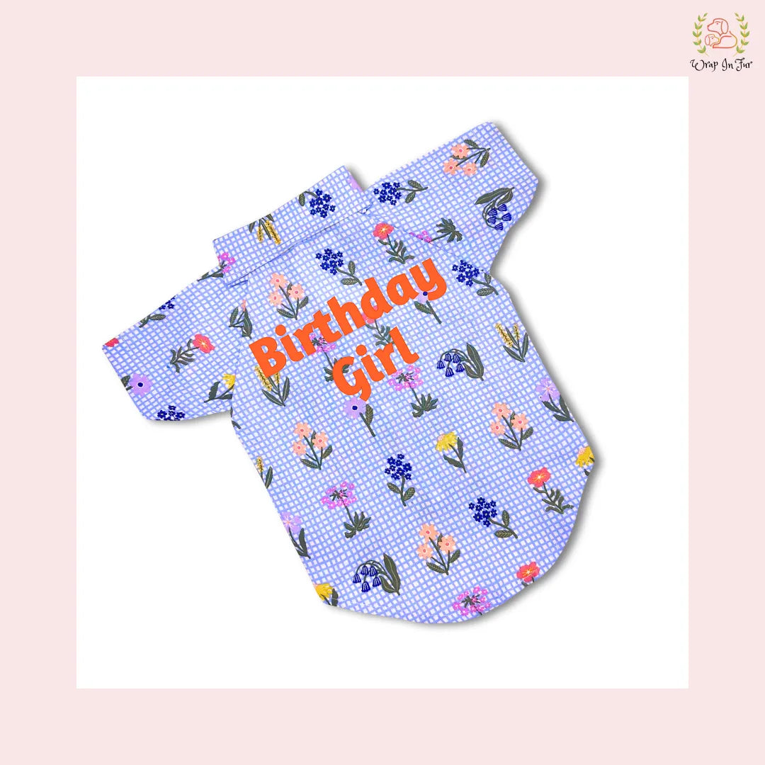 Butterfly personalized dog shirt for beagle