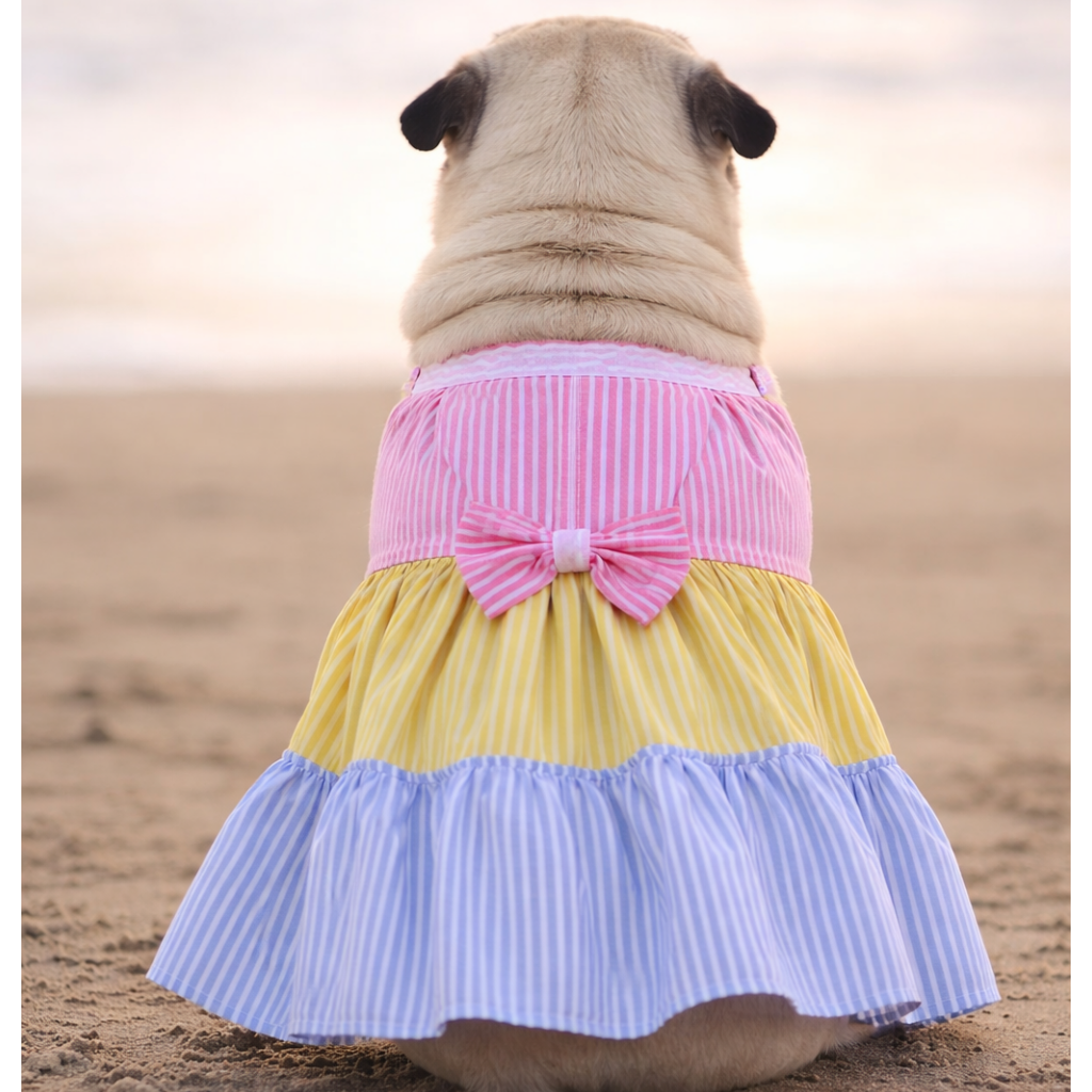 Candy Stripe Summer Dog Frock Dress