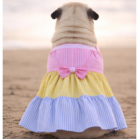 Candy Stripe Summer Dog Frock Dress