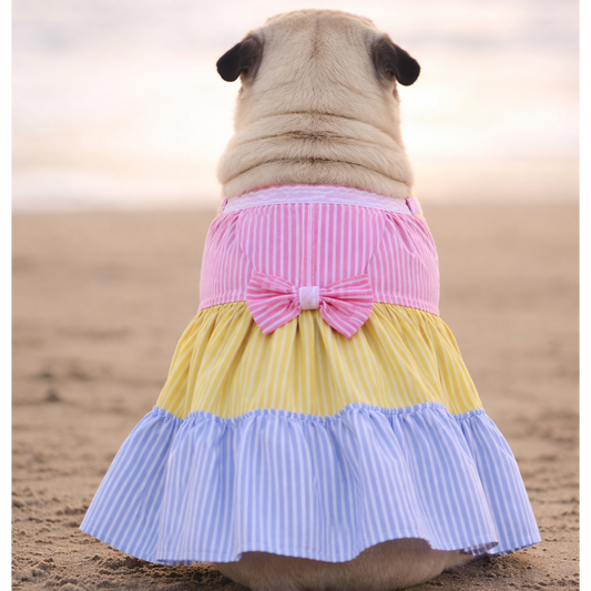 Candy Stripe Summer Dog Frock Dress