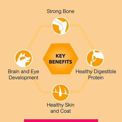 Canine Creek Club Adult Dry Dog Food Ultra Premium