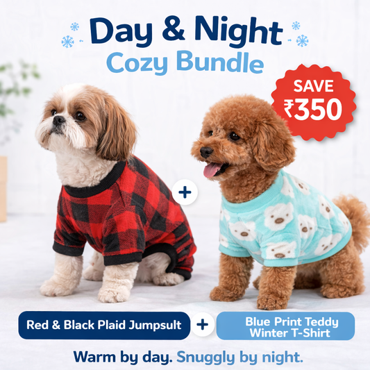 Day and Night Cozy Bundle