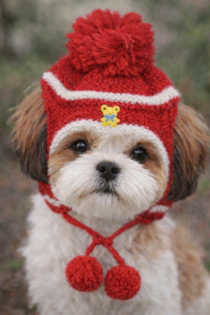 Dog Winter Cap