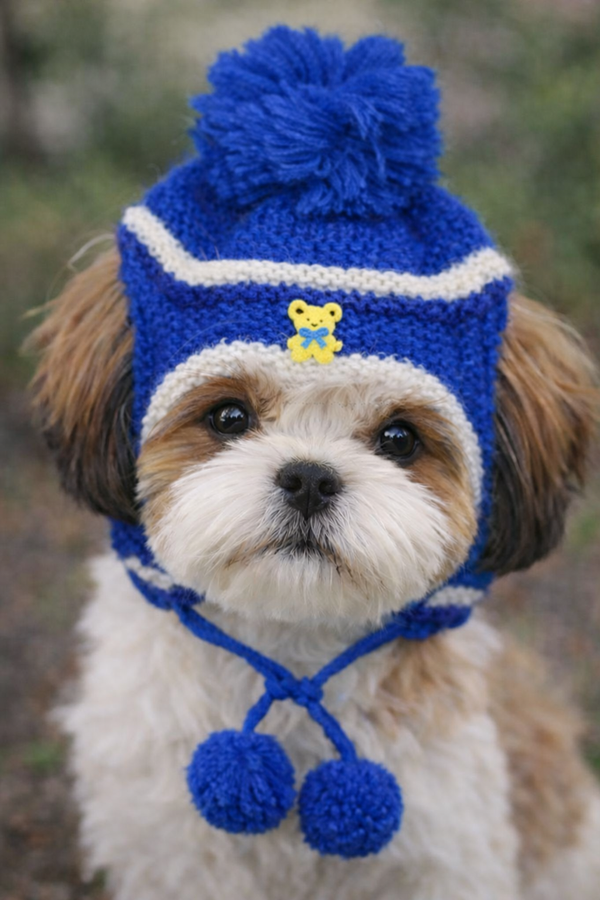 Blue Dog Cap