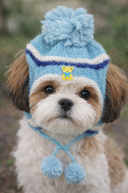 Dog Winter Cap