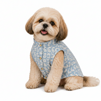 Blue Paisley Embroidered Nawab Dog Kurta