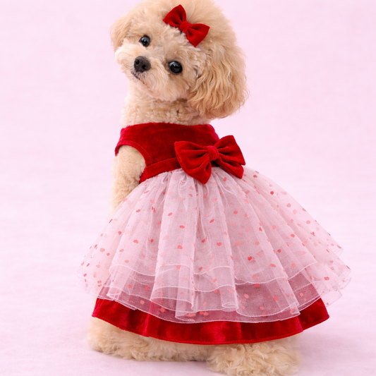 Red Heart Tutu Dog Dress Frock