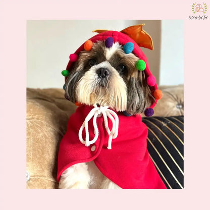 Christmas Pompom Cape for Shihtzu dog