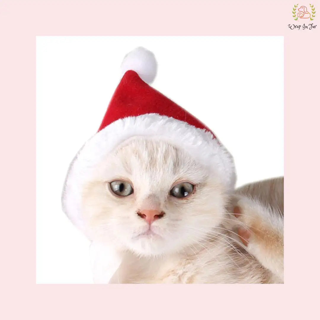 Christmas Santa Cap with Scarf for pet cat