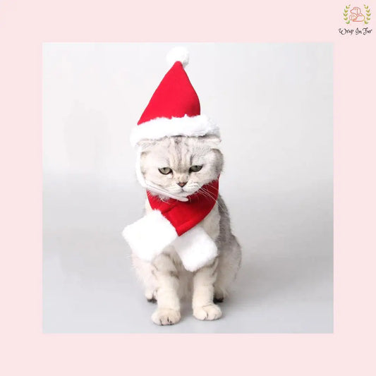 Christmas Santa Cap with Scarf for cat