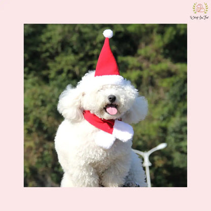 Christmas Santa Cap with Scarf for dog