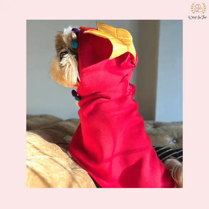 Christmas Pompom Cape for Dogs– Cozy Holiday Cloak