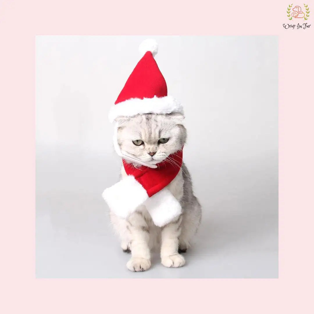 Christmas Santa Cap & Scarf Set for Cat – Cute Holiday Dress-Up Accessory