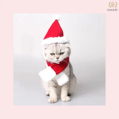 Christmas Santa Cap & Scarf Set for Cat – Cute Holiday Dress-Up Accessory