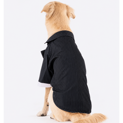 Classic Black Stripe Dog Tuxedo