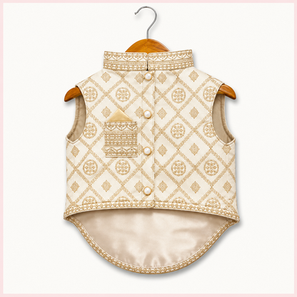 Classic Off White Embroidered Dog Sherwani