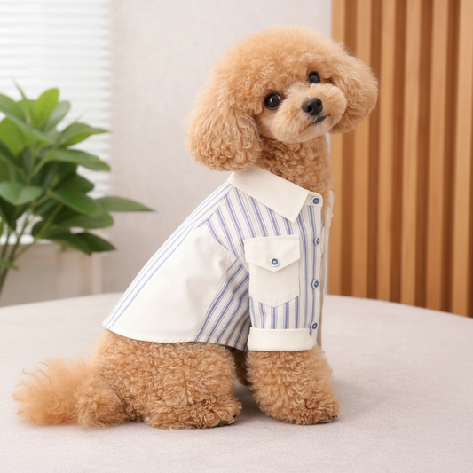 Classic Stripe Formal Dog Shirt
